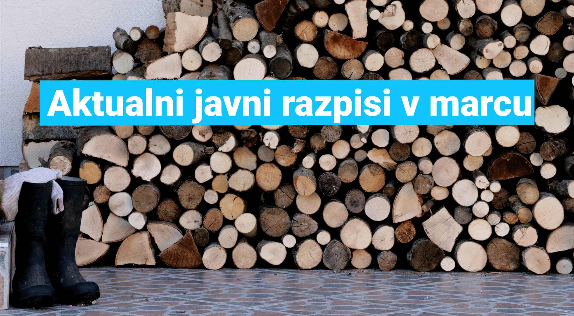 javni-razpisi
