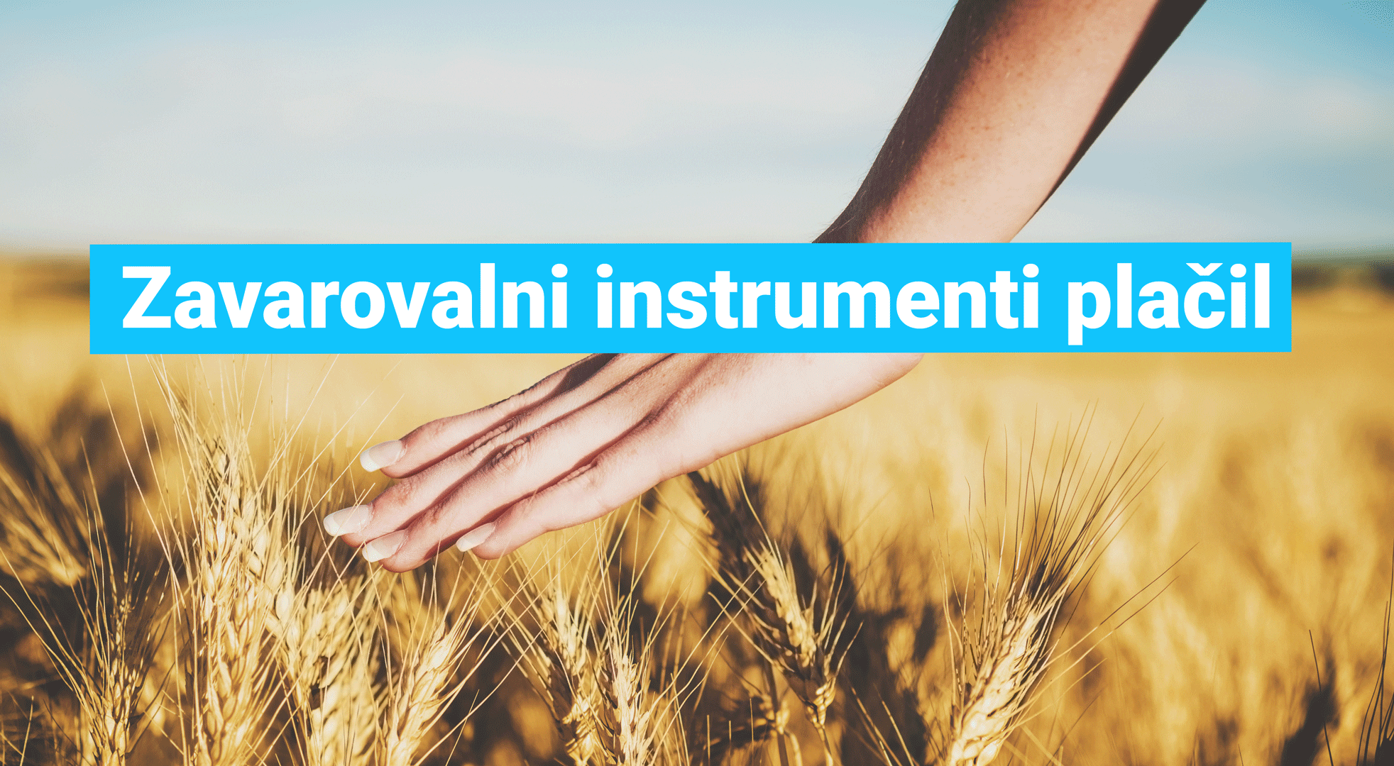 Zavarovalni-instrumenti-placil