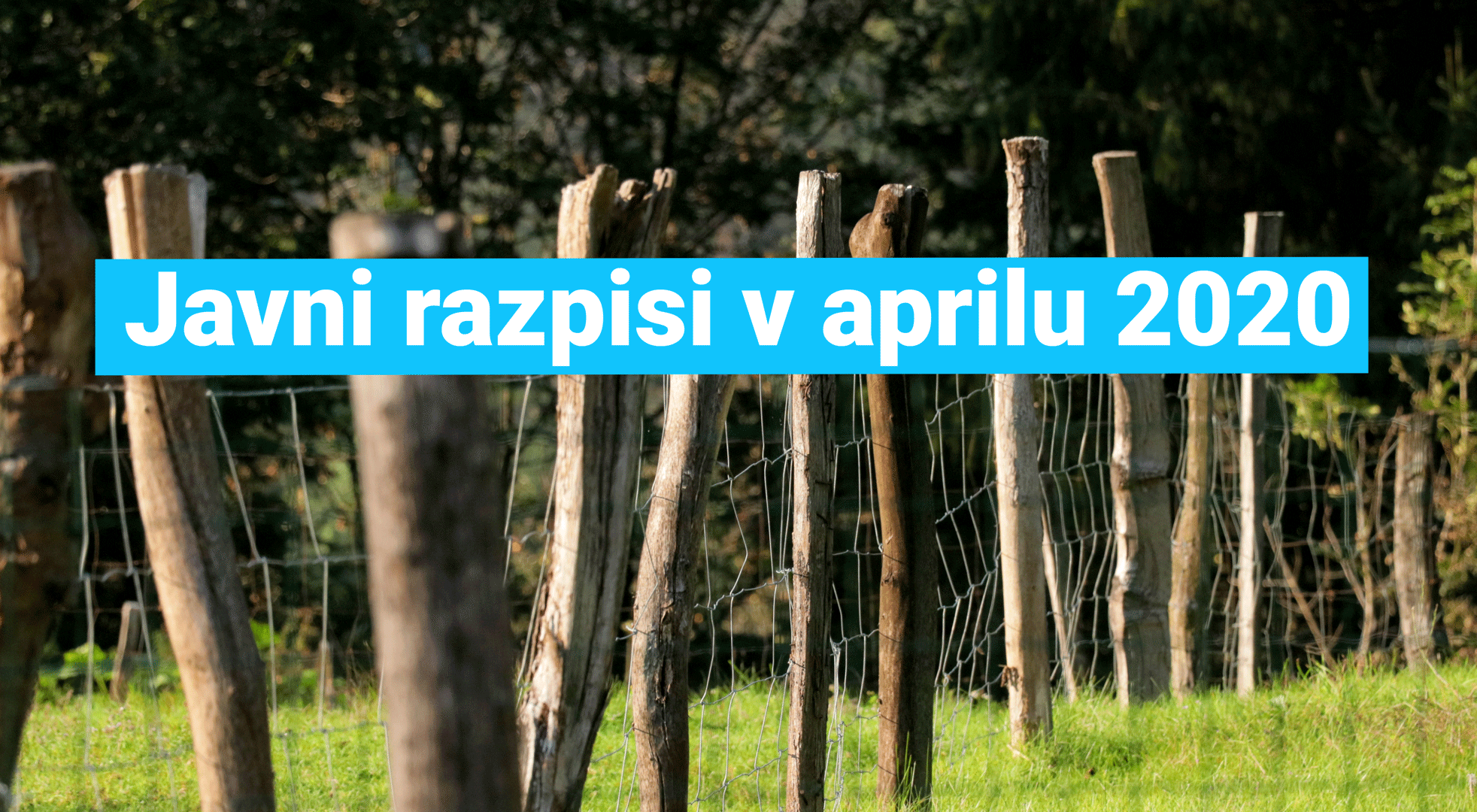 javni-razpisi