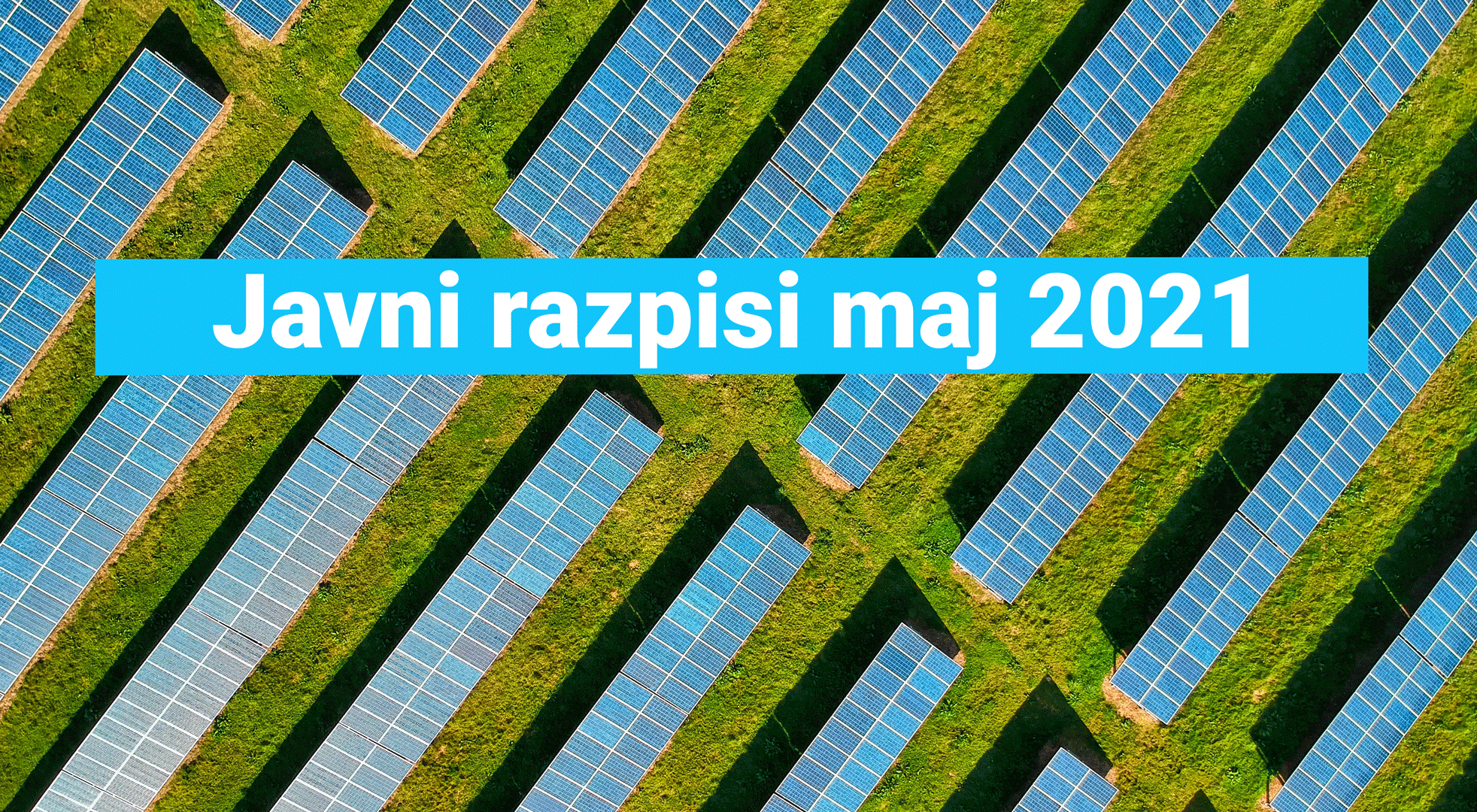 javni-razpisi, Pexels Red Zeppelin --