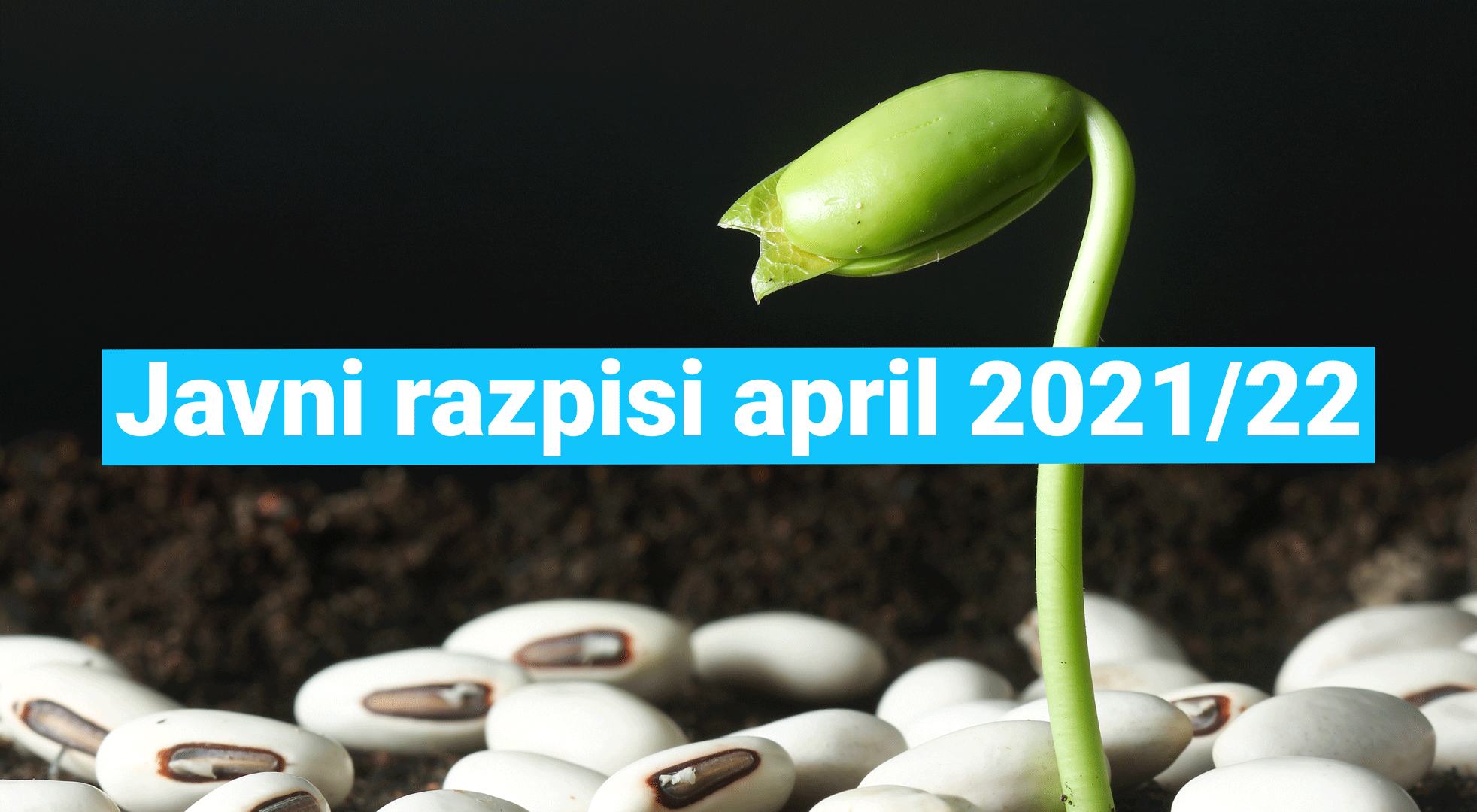 javni-razpisi