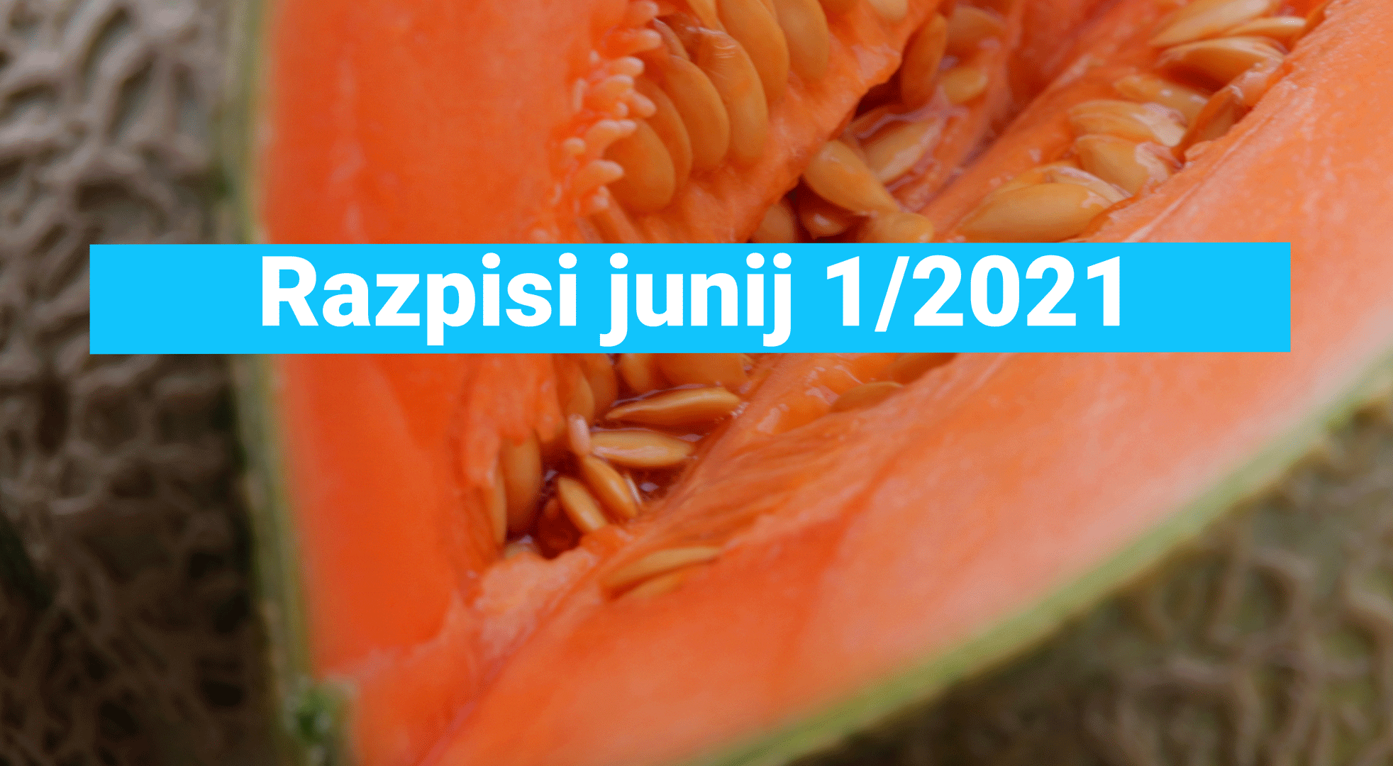 javni-razpisi