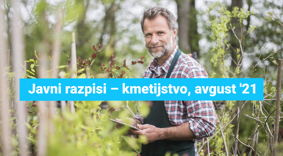 Javni-razpisi