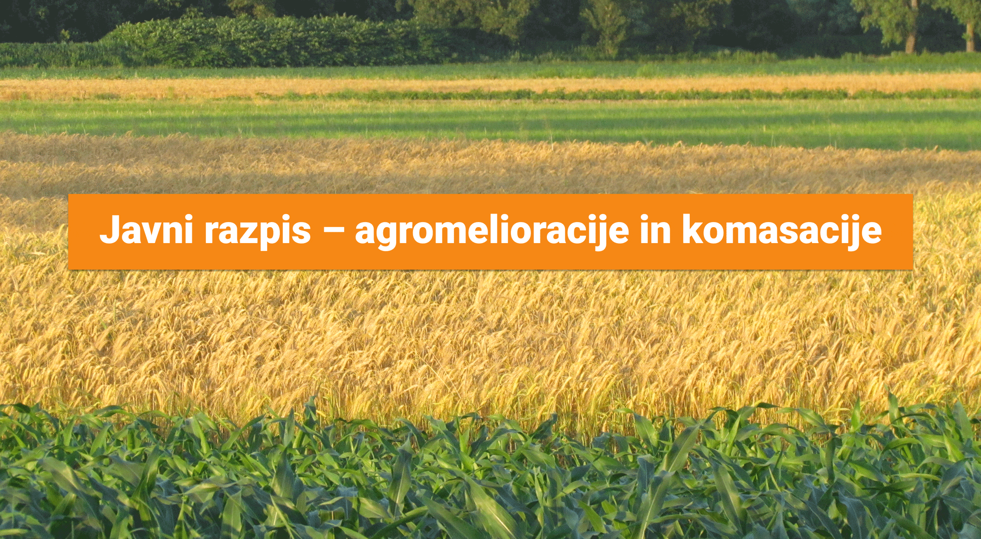 javni-razpis