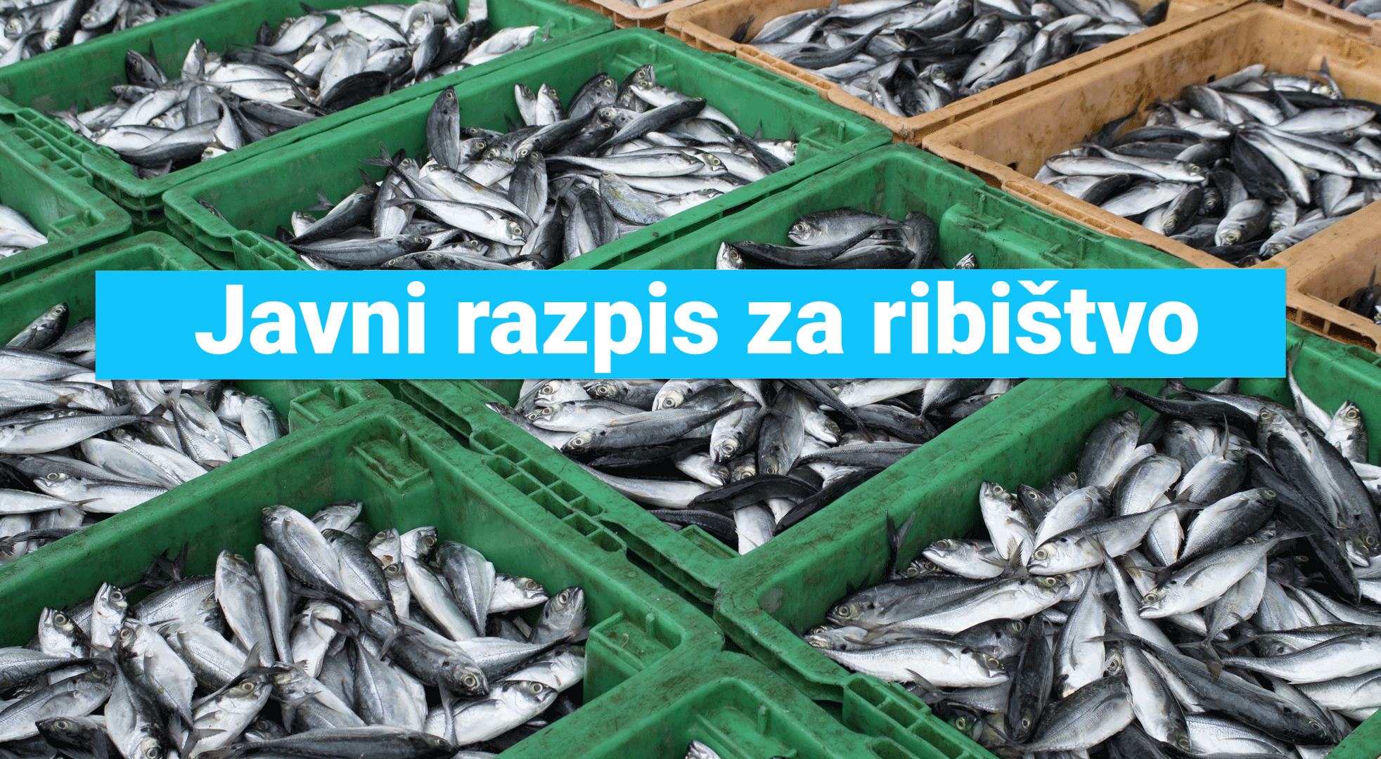 Javni-razpis-za-ribistvo
