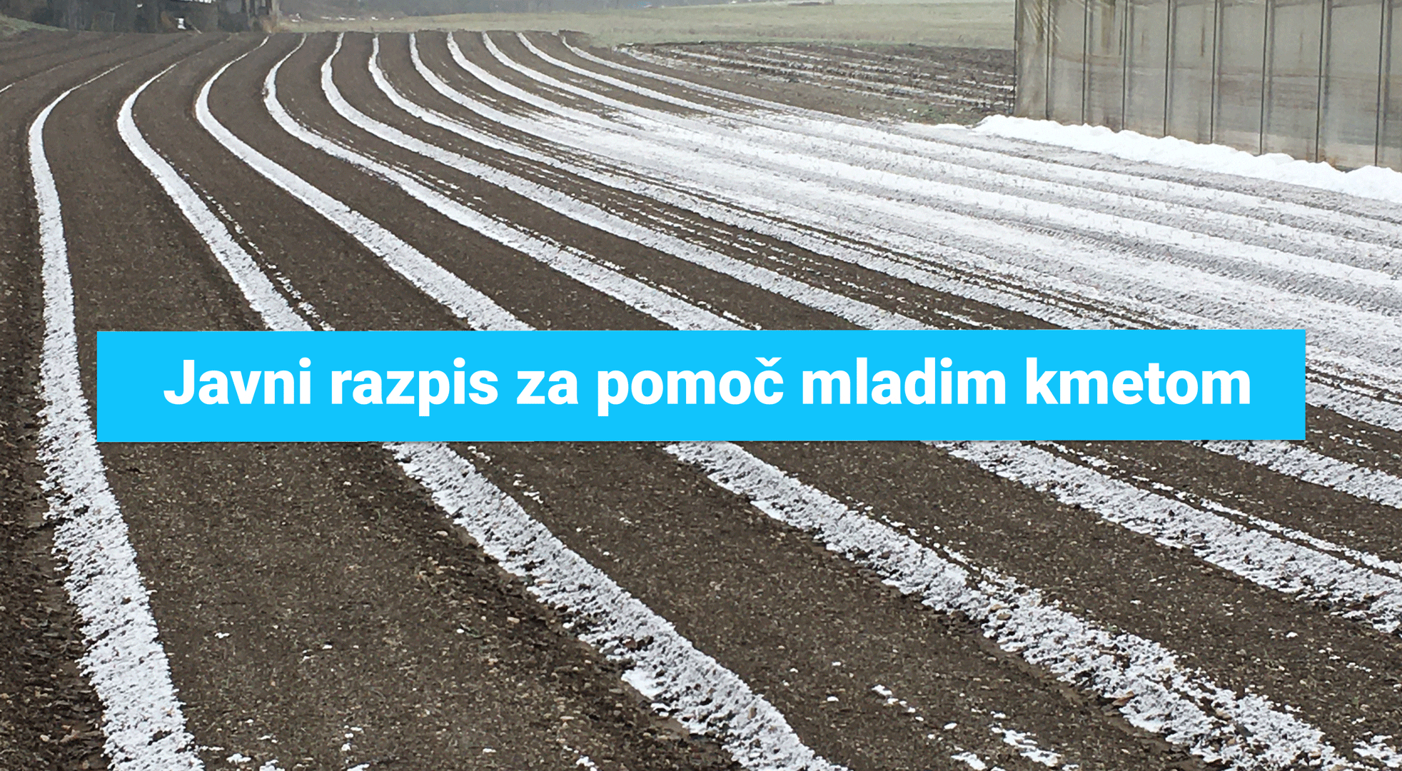 javni-razpis