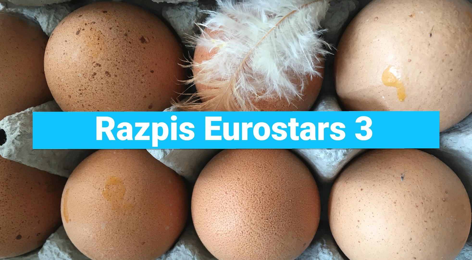 eurostars