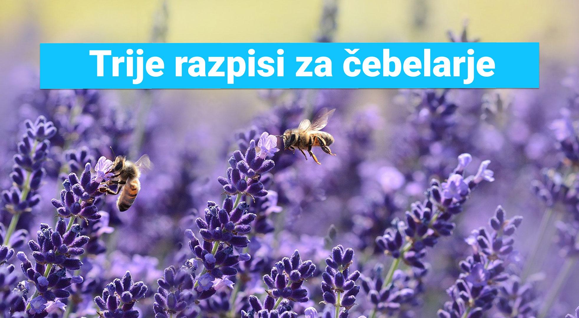 čebelar