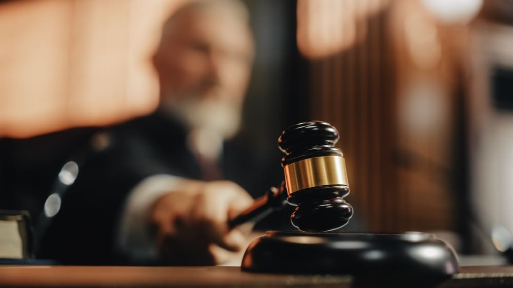 Postopek prisilne izterjave dolga z zarubo in prodajo dolžnikovih premičnin