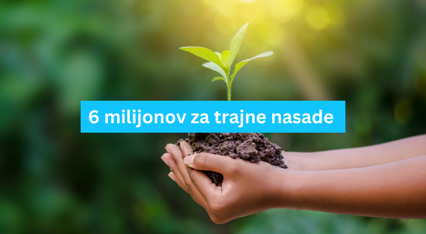 Finančna podpora za razvoj trajnih nasadov v kmetijstvu