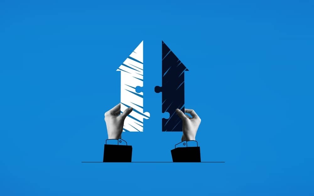 Prikaz pripojitve podjetja, združitev dveh družb in prenos premoženja na prevzemno družbo